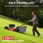 21 " 170cc Gas Self-Propelled 3-in-1 Lawn Mower DB8621S
