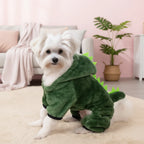 Halloween Dinosaur Costume